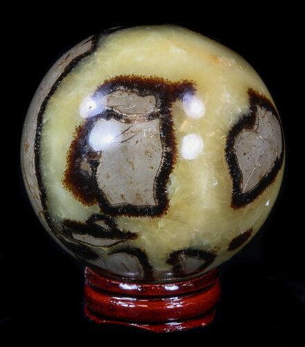Polished Septarian Sphere #36060